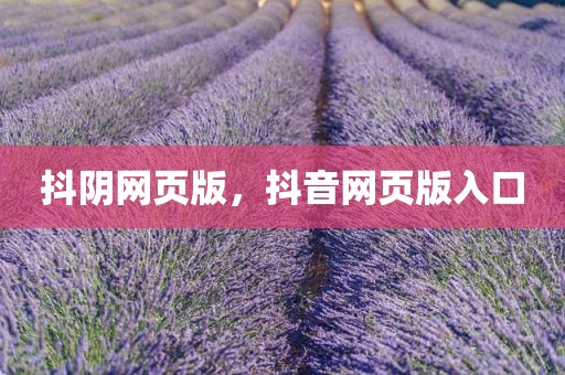 抖阴网页版，抖音网页版入口