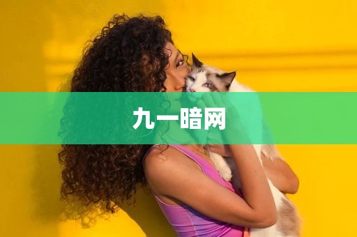 九一暗网