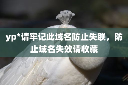 yp*请牢记此域名防止失联，防止域名失效请收藏