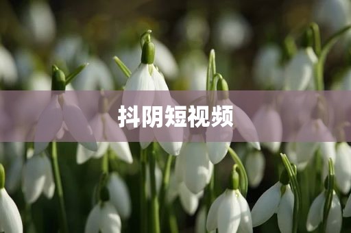 抖阴短视频