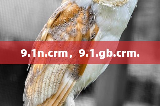 9.1n.crm，9.1.gb.crm.