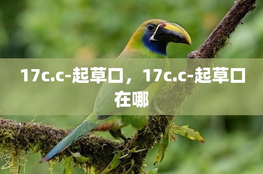 17c.c-起草口，17c.c-起草口在哪