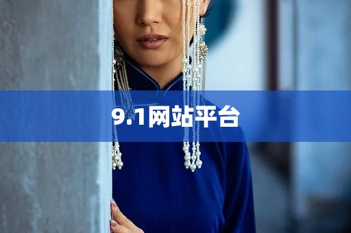 9.1网站平台