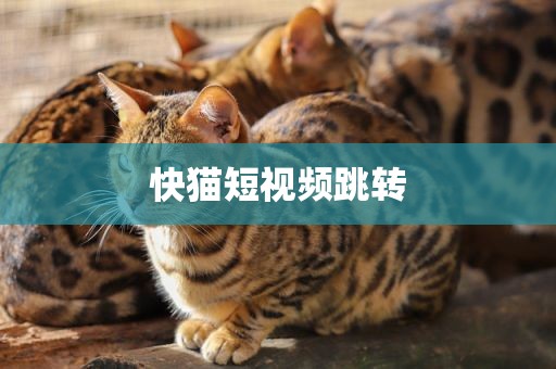 快猫短视频跳转
