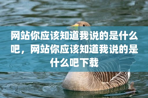 网站你应该知道我说的是什么吧，网站你应该知道我说的是什么吧下载