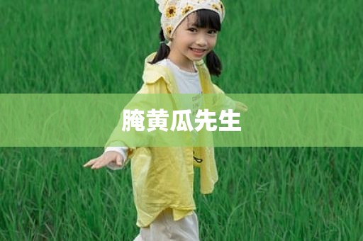 腌黄瓜先生