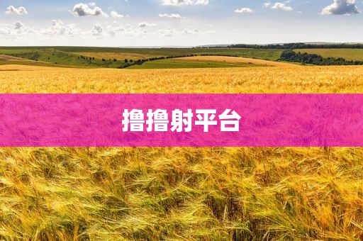 撸撸射平台