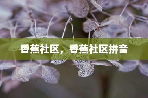 香蕉社区，香蕉社区拼音