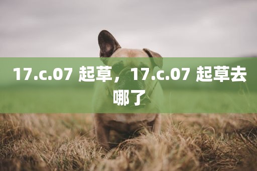 17.c.07 起草，17.c.07 起草去哪了