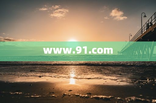 www.91.com