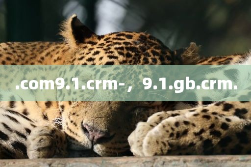 .com9.1.crm-，9.1.gb.crm.