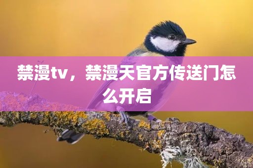 禁漫tv，禁漫天官方传送门怎么开启