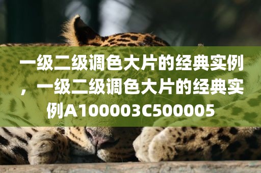 一级二级调色大片的经典实例，一级二级调色大片的经典实例A100003C500005