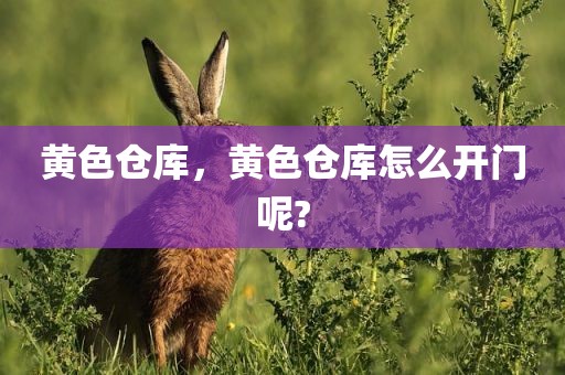 黄色仓库，黄色仓库怎么开门呢?
