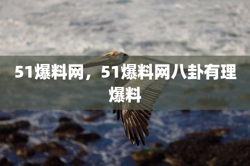 51爆料网，51爆料网八卦有理爆料
