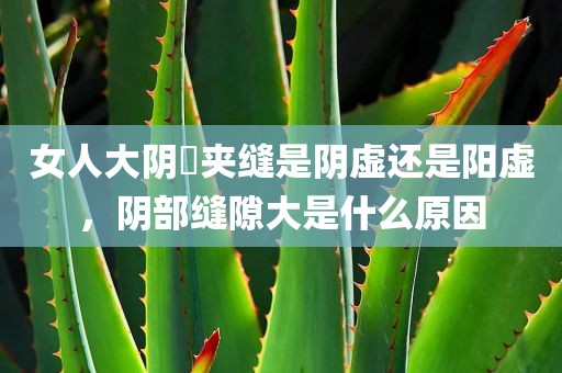女人大阴脣夹缝是阴虚还是阳虚，阴部缝隙大是什么原因