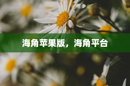 海角苹果版，海角平台
