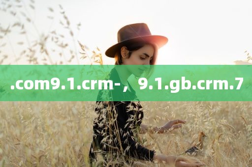 .com9.1.crm-，9.1.gb.crm.7
