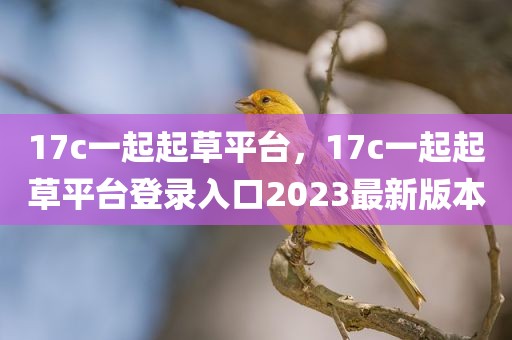 17c一起起草平台，17c一起起草平台登录入口2023最新版本