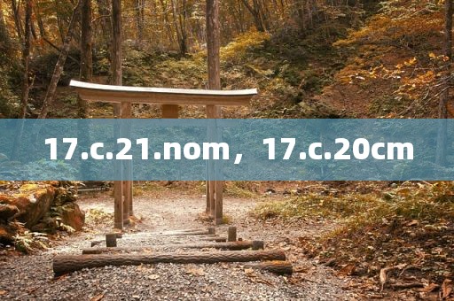 17.c.21.nom，17.c.20cm