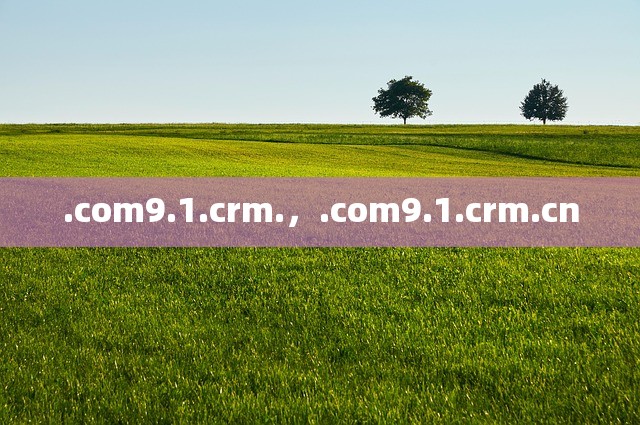 .com9.1.crm.，.com9.1.crm.cn