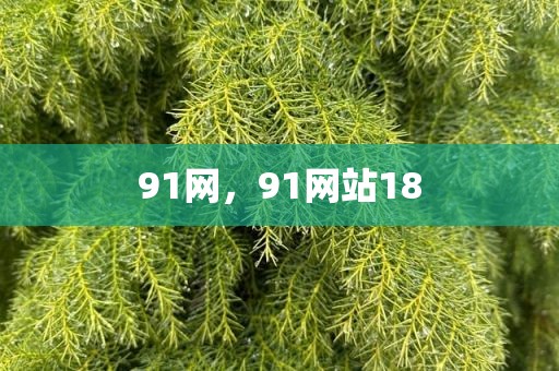 91网，91网站18