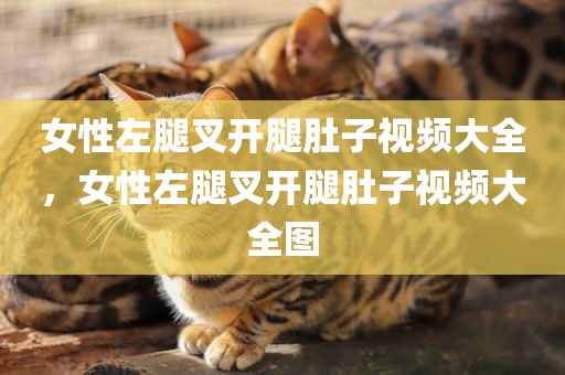 女性左腿叉开腿肚子视频大全，女性左腿叉开腿肚子视频大全图