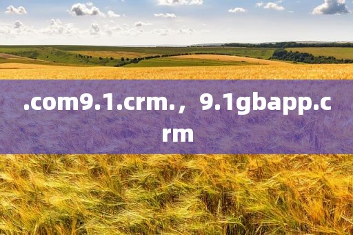 .com9.1.crm.，9.1gbapp.crm