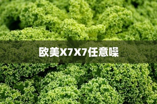欧美X7X7任意噪