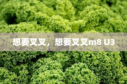想要叉叉，想要叉叉m8 U3
