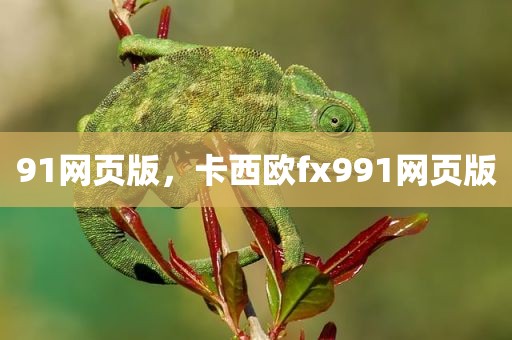 91网页版，卡西欧fx991网页版