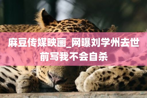 麻豆传媒映画_网曝刘学州去世前写我不会自杀