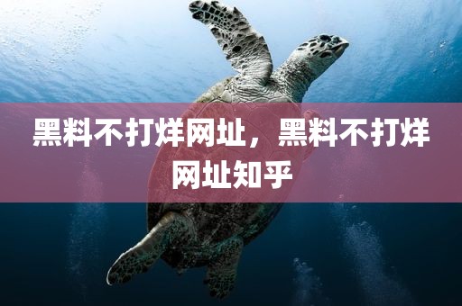 黑料不打烊网址，黑料不打烊网址知乎