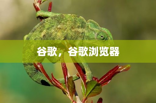 谷歌，谷歌浏览器