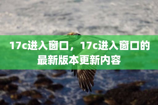 17c进入窗口，17c进入窗口的最新版本更新内容