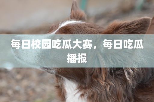 每日校园吃瓜大赛，每日吃瓜播报