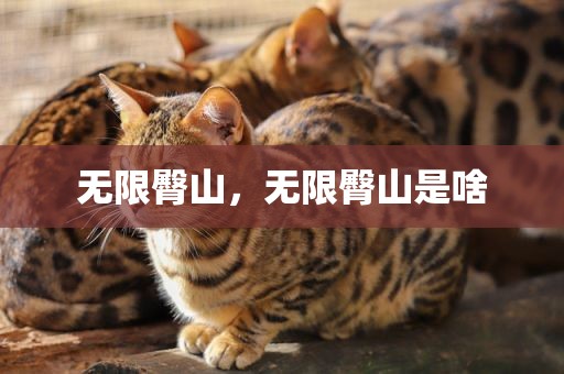 无限臀山，无限臀山是啥