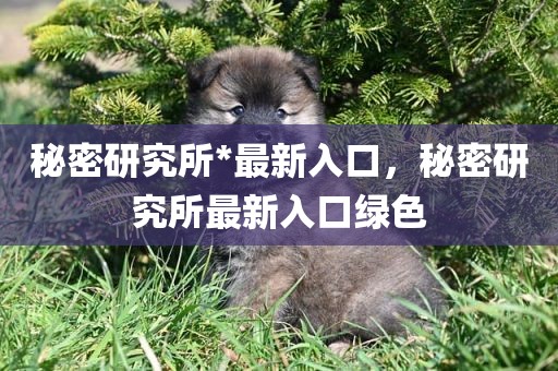 秘密研究所*最新入口，秘密研究所最新入口绿色