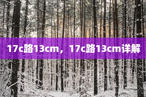 17c路13cm，17c路13cm详解