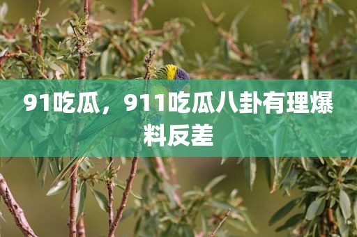 91吃瓜，911吃瓜八卦有理爆料反差