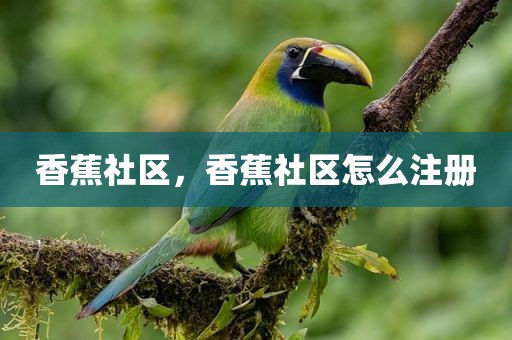 香蕉社区，香蕉社区怎么注册