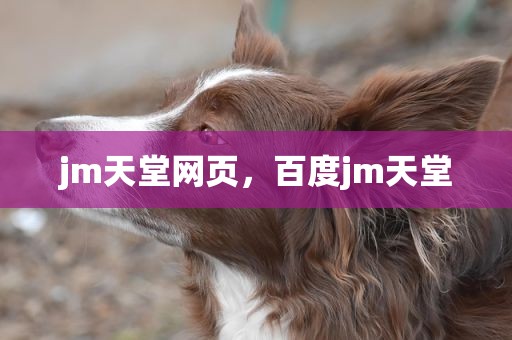 jm天堂网页，百度jm天堂