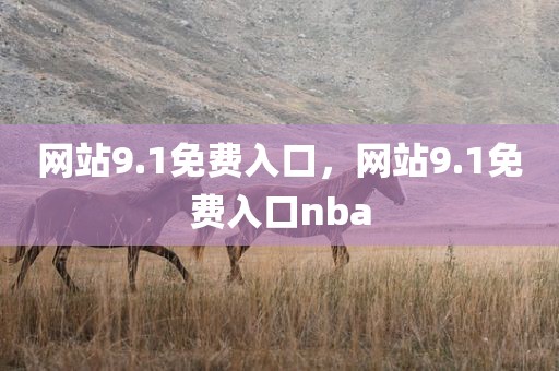 网站9.1免费入口，网站9.1免费入口nba