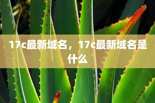 17c最新域名，17c最新域名是什么