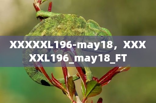 XXXXXL196-may18，XXXXXL196_may18_FT