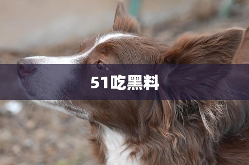 51吃黑料