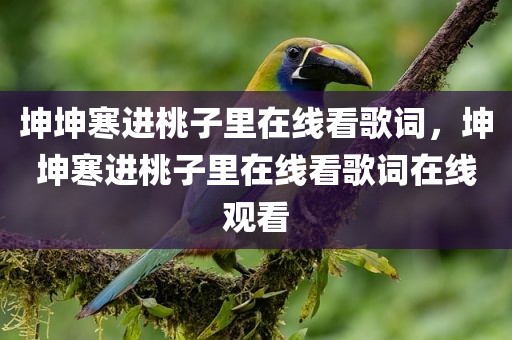 坤坤寒进桃子里在线看歌词，坤坤寒进桃子里在线看歌词在线观看