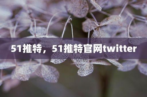 51推特，51推特官网twitter