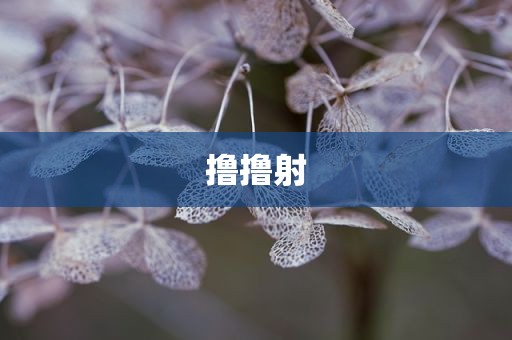 撸撸射