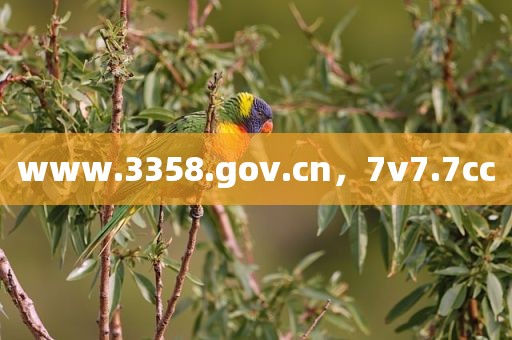 www.3358.gov.cn，7v7.7cc
